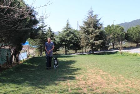Şile köpek eğitim merkezi